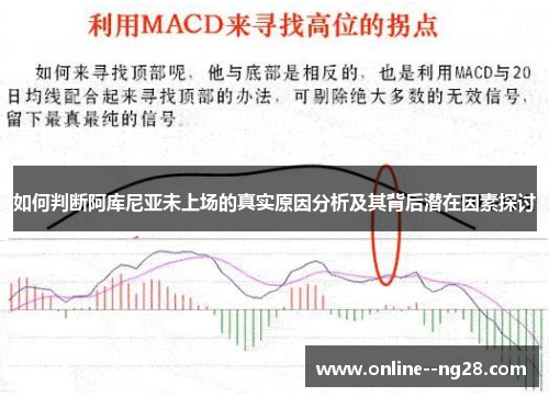 如何判断阿库尼亚未上场的真实原因分析及其背后潜在因素探讨