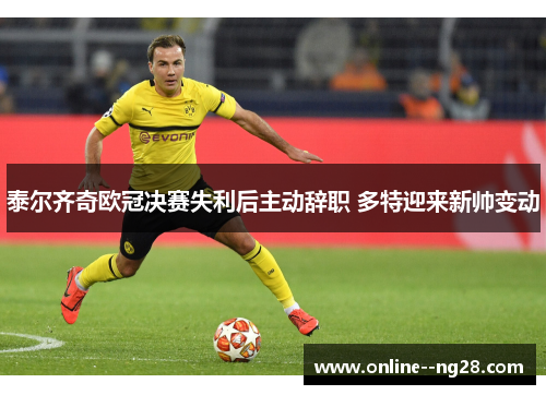 泰尔齐奇欧冠决赛失利后主动辞职 多特迎来新帅变动