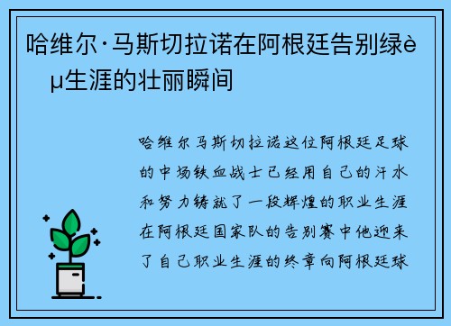 哈维尔·马斯切拉诺在阿根廷告别绿茵生涯的壮丽瞬间